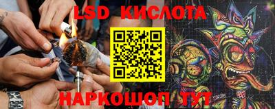 круглые Камышлов