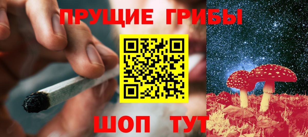 Псилоцибиновые грибы GOLDEN TEACHER Лесной