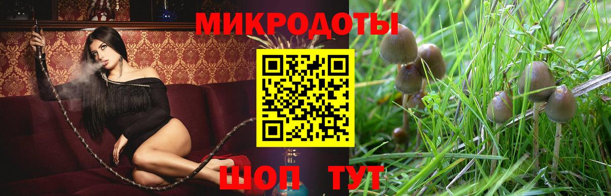 дарнет шоп  Вход с VPN  Лесной  Псилоцибиновые грибы мухоморы 